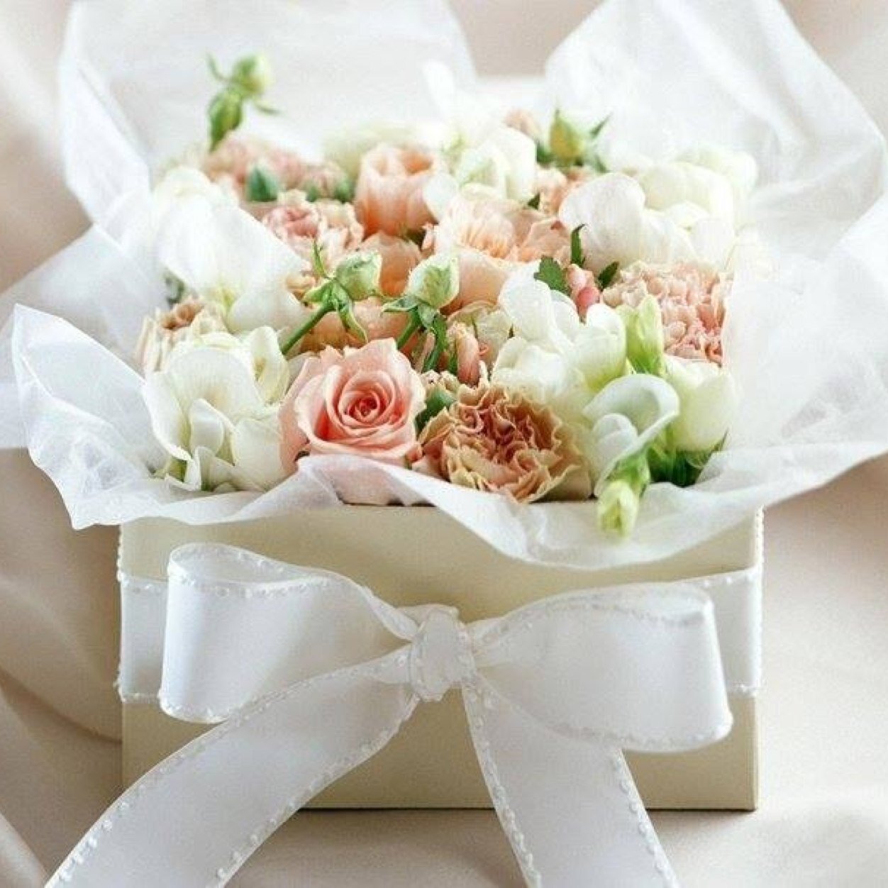 CPatycit's profile picture. 