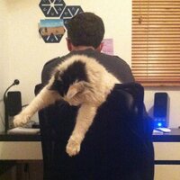 Eoin Ó Loideáin (@eol_as) 's Twitter Profile