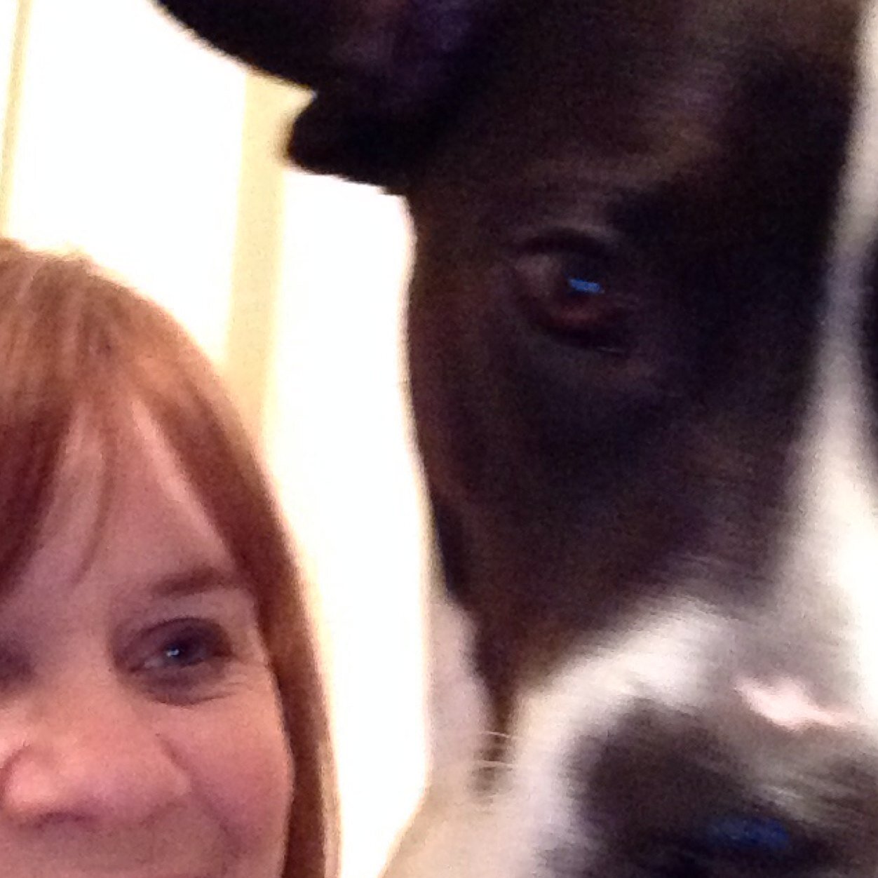 eros73's profile picture. You have brains in your head. You have feet in your shoes. You can steer yourself any direction you choose.