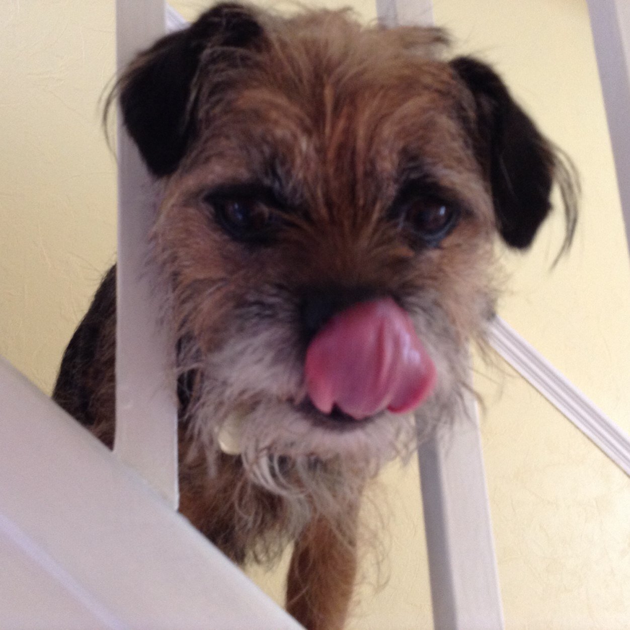 mcvinnie_dave's profile picture. 