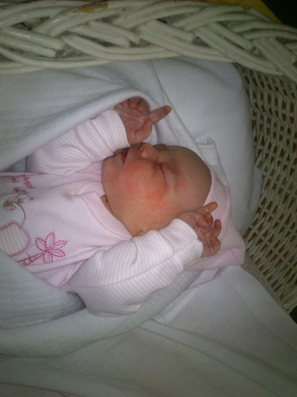 jjManubottoni's profile picture. 