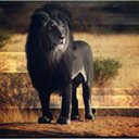 Joseph Crown - @PapaJody - Twitter