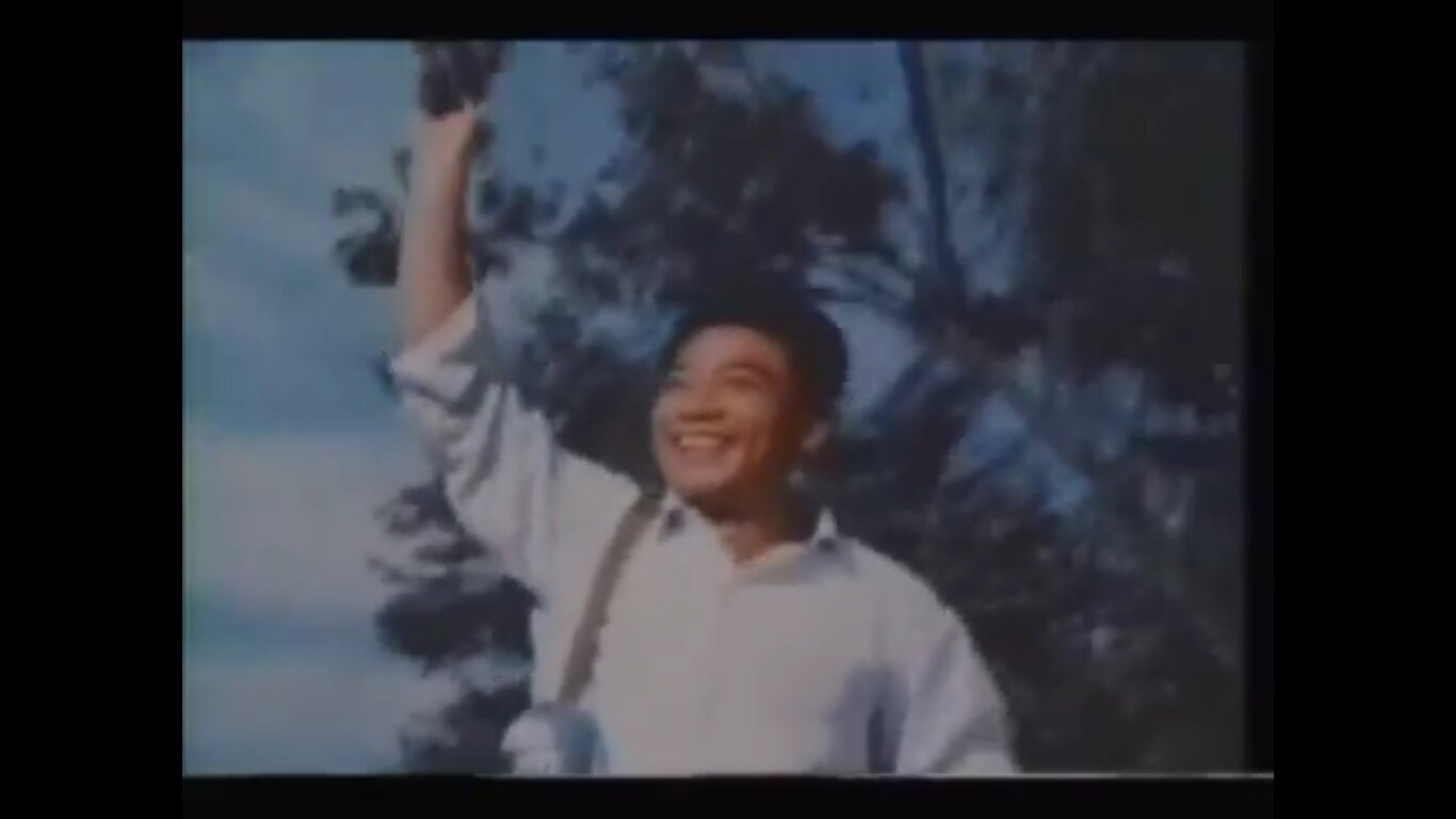 DirectorLung's profile picture. Enviat de remotes coves a llunyanes muntanyes per a aprofundir en la lluita de 2 línies, i si cal, en la de 3. Per la reconstitució del PC i del seu GNU