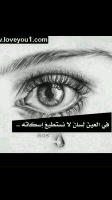 بعض تغريداتي تعنيك انت ياحبيبي &والبعض مجرد نصوص راقت لي
