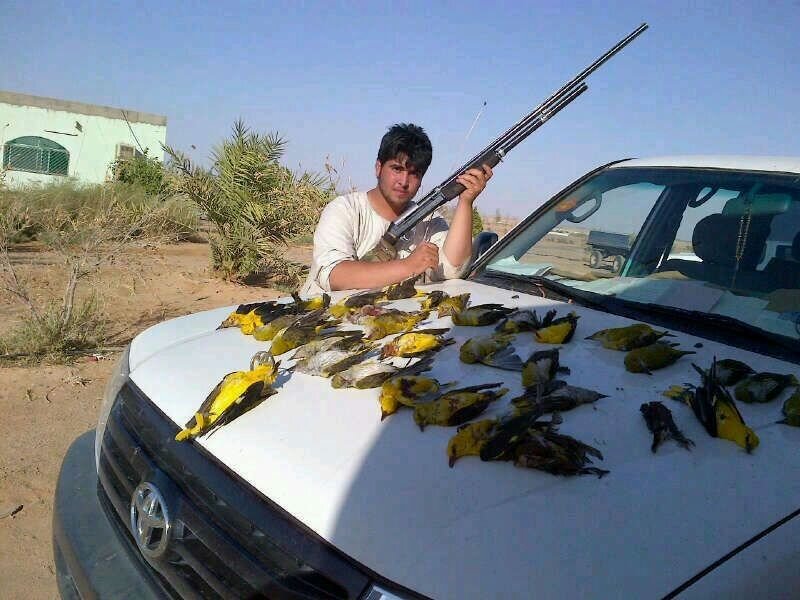 ‏حساب مختص بصيد     عالمي بمفضلتي                       (سبحان الله وبحمده &سبحان الله العظيم)