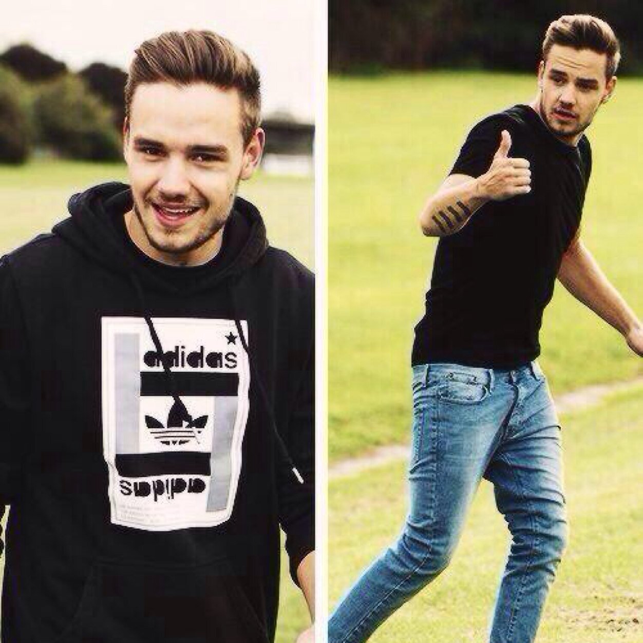 Hi Im Liam James Payne im 17 sometimes L1: an angel is mine he made me see L2:Taken by James L3: taken by Harry L4:Taken by Zayn L5: single