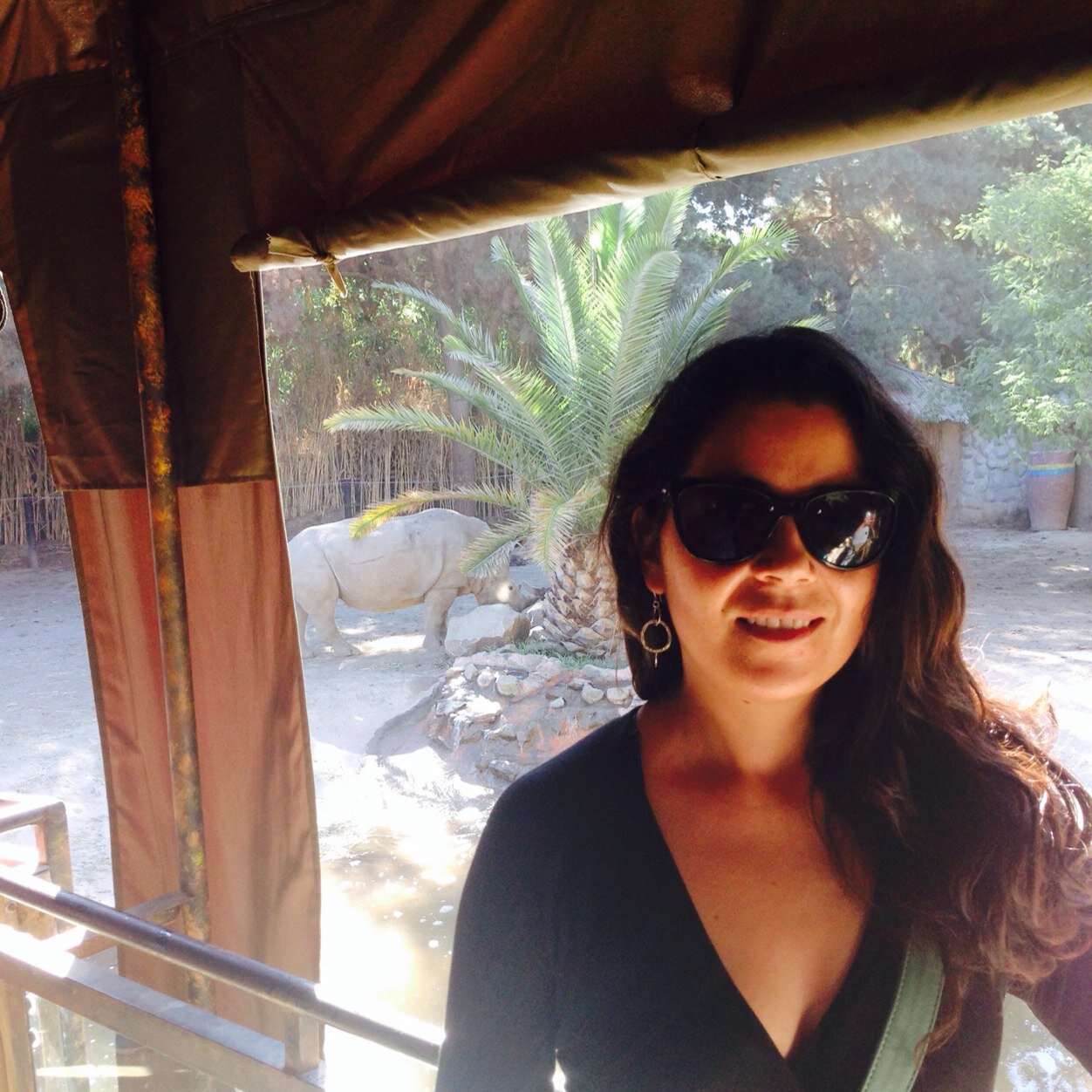 Evypaz's profile picture. Soy donante,  amiga incondicional, odio la injusticia y lucho por lo que quiero hasta obtenerlo...!!!