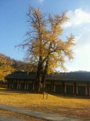 qhegml69's profile picture. 