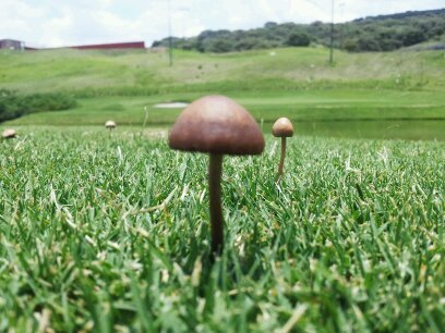 juanj8's profile picture. 