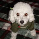 irene sena guidetti - @irenesenaguidet - Twitter