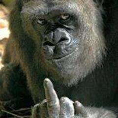 noemi78659507's profile picture. 