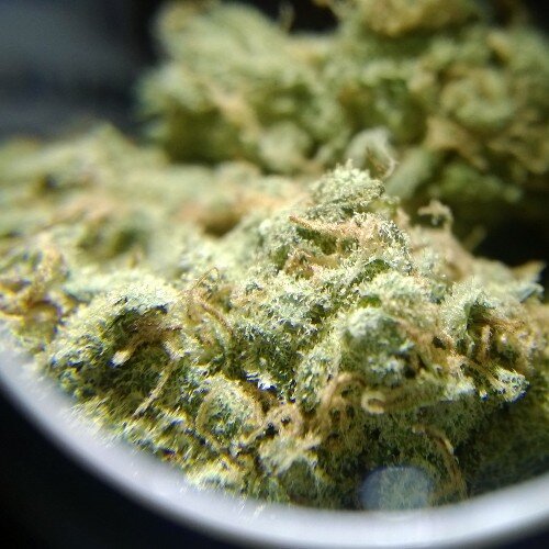 CannaWriter
