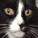 Eva Hubert - @BHEva75 - Twitter