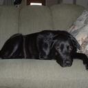 Doug Roth - @MichiganD - Twitter