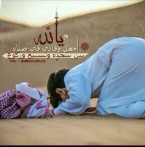 ‏تبطي رجالن ماتجيب الرجوله  ‎@لوحاولوصعبن على من جهلها@  المرجله ماهوكلامن نقوله@  المرجله افعال منهووصلها@