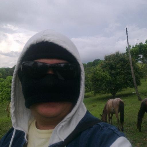 Builder,Grower, n Troubleshooter..F1crazy..Man U fan..Lifetime Bulls supporter.