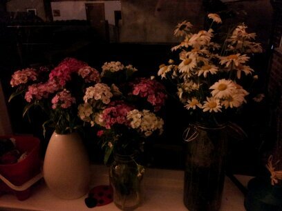 E_L_Simpson's profile picture. 