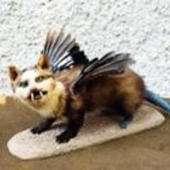 PeteRepeatAber Profile Picture