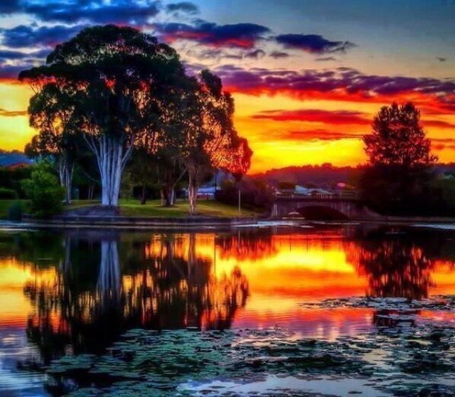 Showcasing the best of nature from around the world.