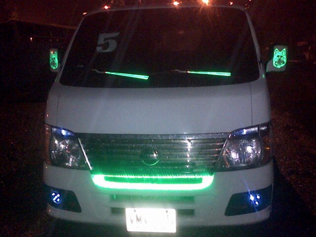 pillo955's profile picture. 