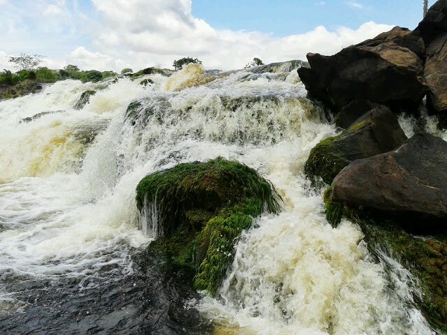 Angeliquita227's profile picture. 