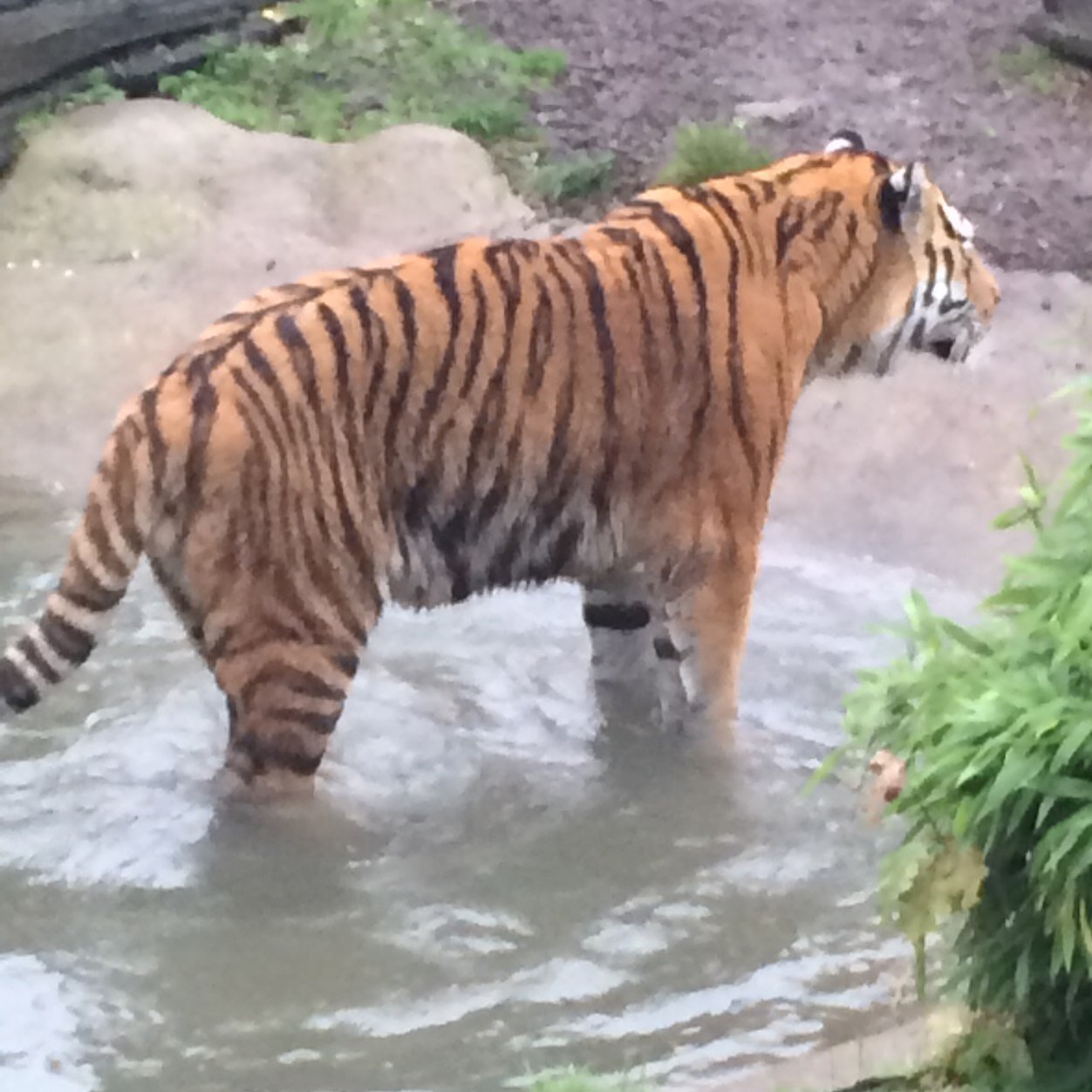 Wilding95's profile picture. 