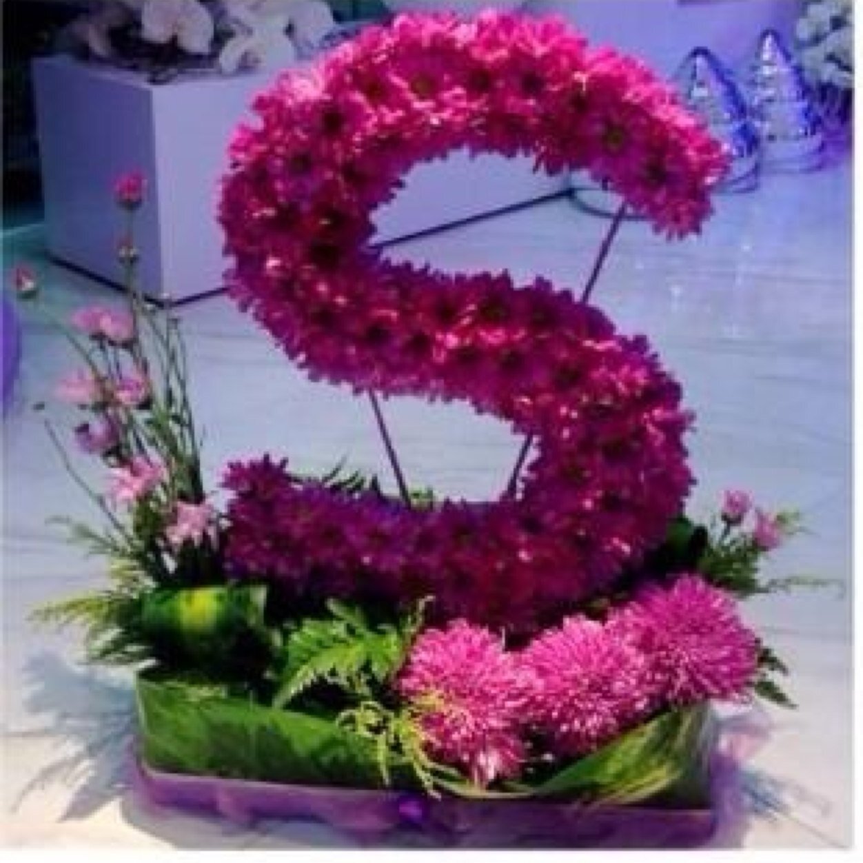 هنآگ تفآصيل صغيرهہ ♡ رغم تفآهتهآ قد تسبب في : گسر خوآطرنآ بشدهہ  !