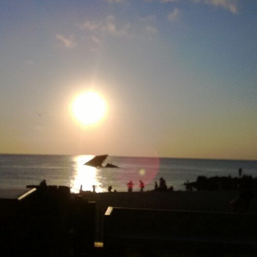 debalicious110's profile picture. 