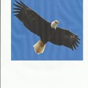 Derrick Clyburn - @DerrickClyburn - Twitter