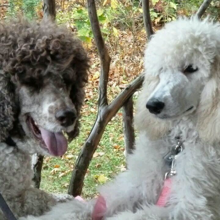 lsirnee's profile picture. 