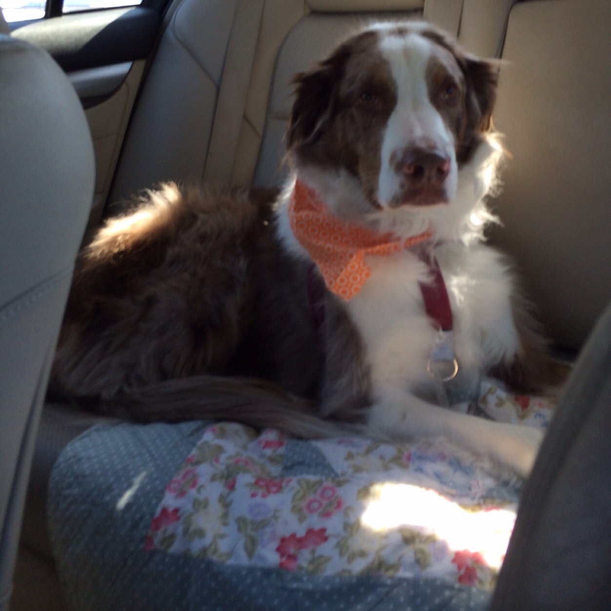 frankdelgreco's profile picture. 