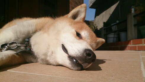 WaTaaaaaaaaaaN_'s profile picture. ホテルマン