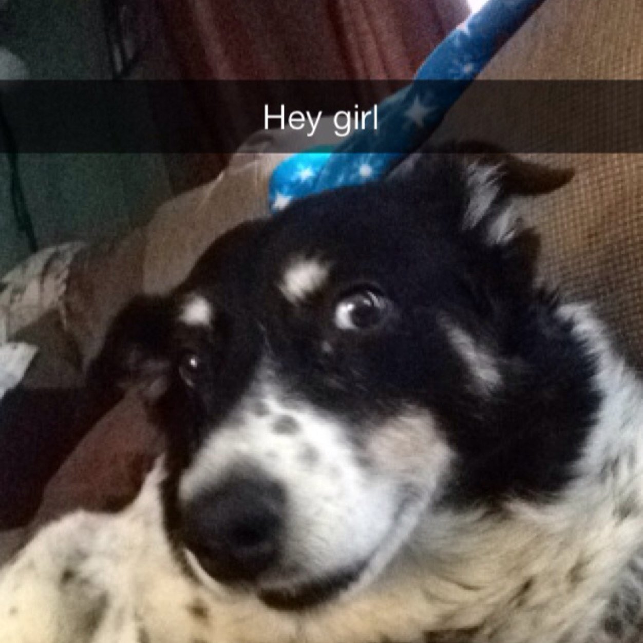 NoahMexican's profile picture. 