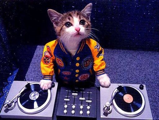I'm a Phabulous Fun Expert.!  I work in film, I DJ and am a constant traveller.  I am passionate about the mind body soul connection. One Love.
