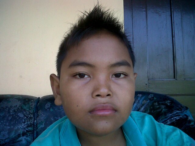 Pin 314f7733