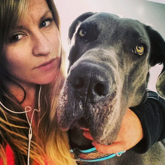 DrJLecky's profile picture. Great dane obsessed Veterinarian