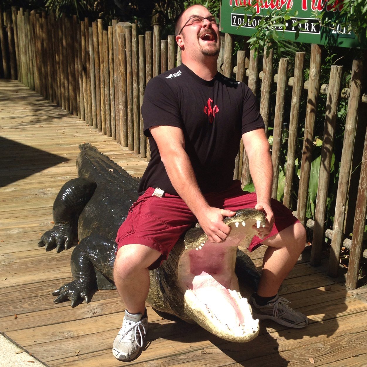 geesebrick's profile picture. 