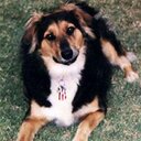 Joan Hooten - @JoanHooten - Twitter