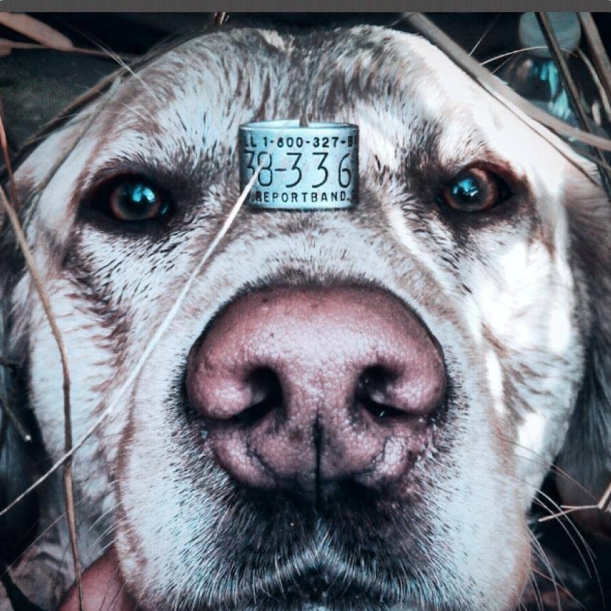 combsjake44's profile picture. basketball football track