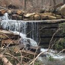 carrie staton - @carrie72943 - Twitter