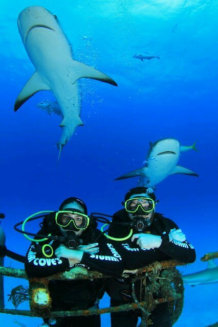 ekutoff's profile picture. 