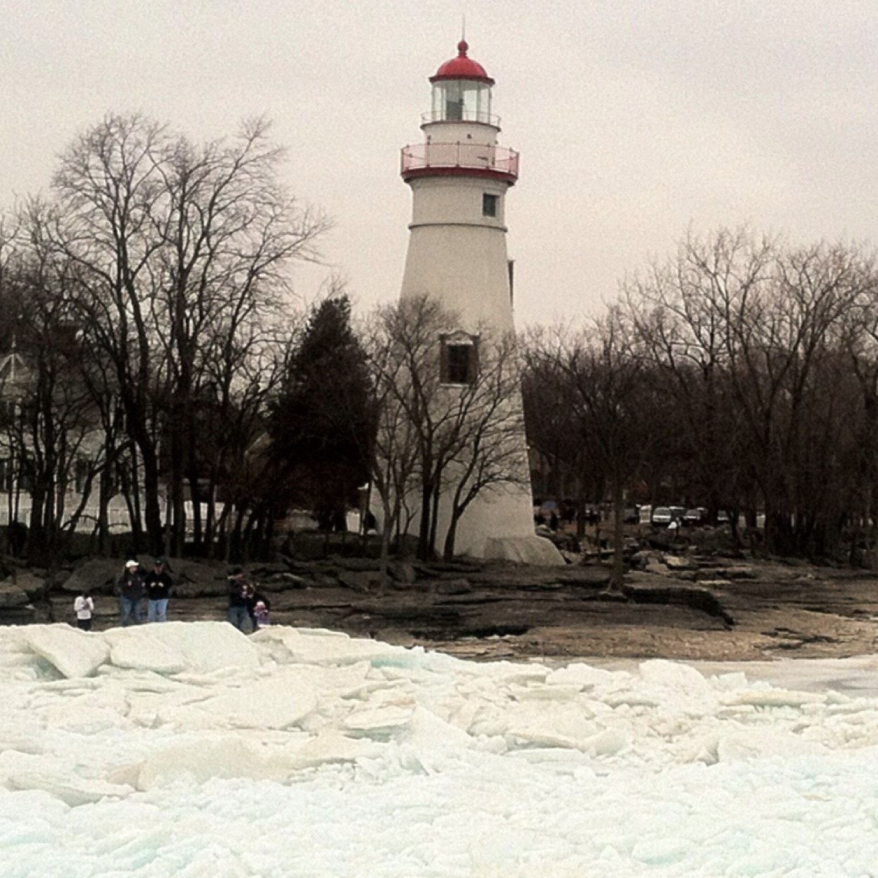 colemk1's profile picture. 