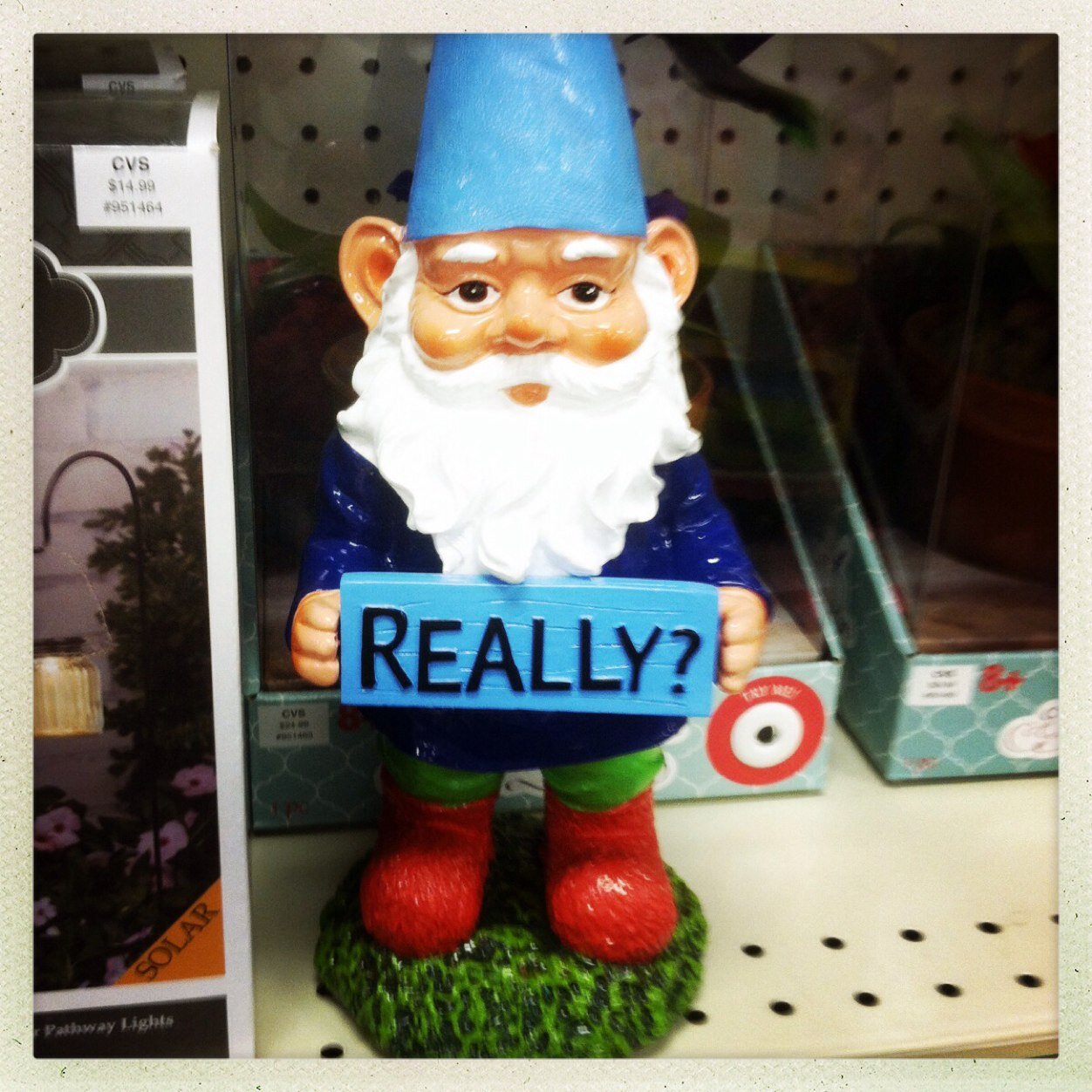 stevecalhoun's profile picture. Experienced Retail Environments Designer, Coach and Running Motivator, and Ultrarunner