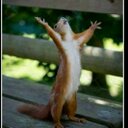 Jenny Shaffer - @JennySh70604649 - Twitter