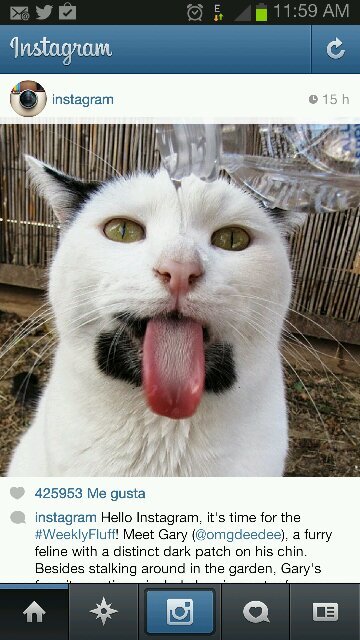 marimoredejesus's profile picture. 