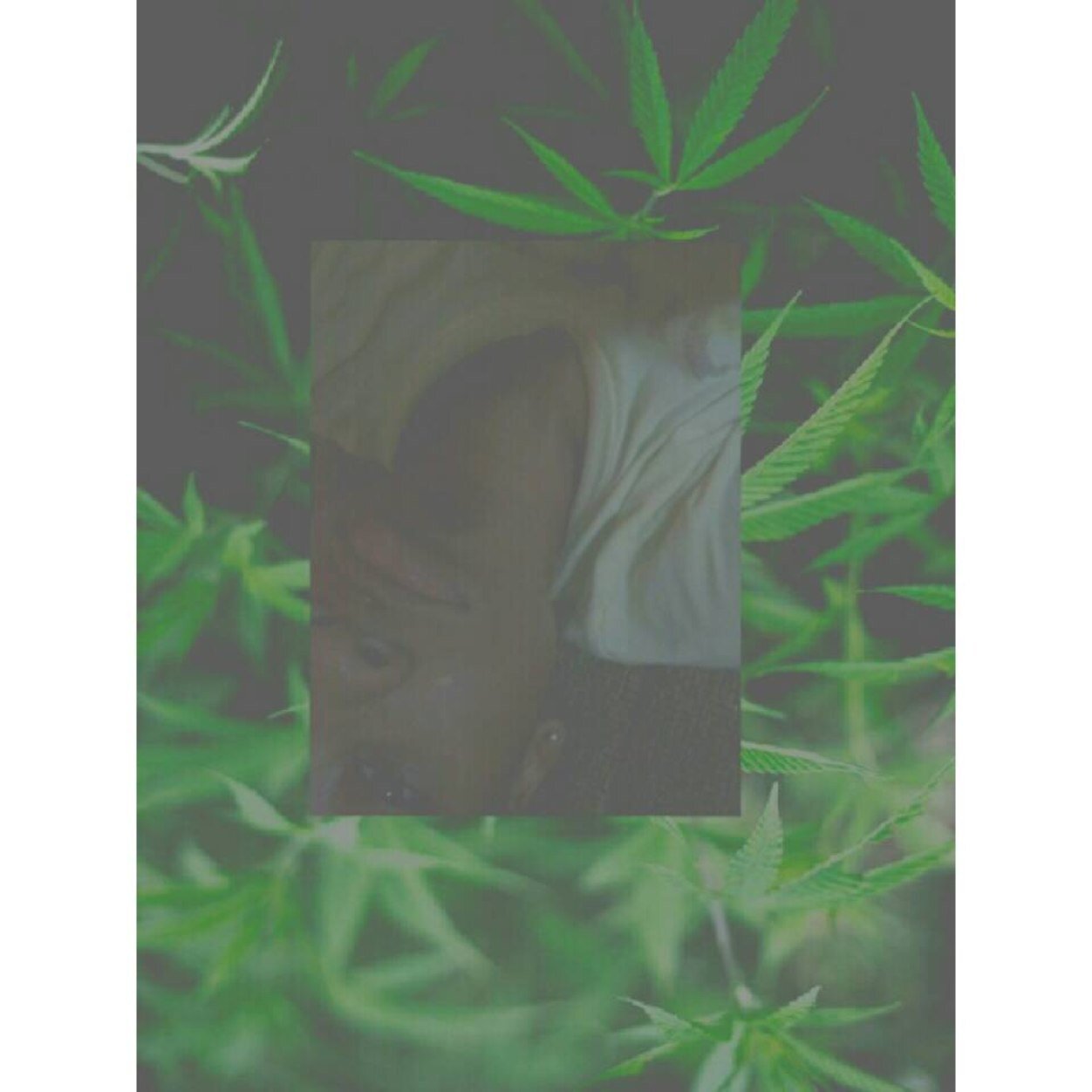 might be [-]negative in the soul but you'll still love me for my [+]vibe // he makes my heart go bang bang x @PhreshPrinceJJ