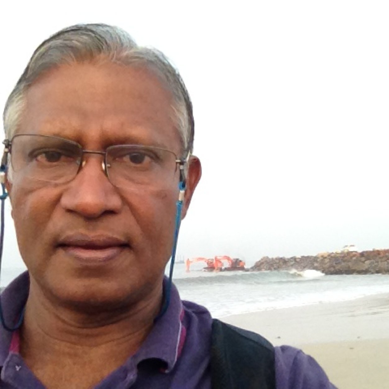 Associate Director 
INDOMER COASTAL HYDRAULICS
Functional Area Expert (Marine Geology), 
NABET - Quality Council of India.