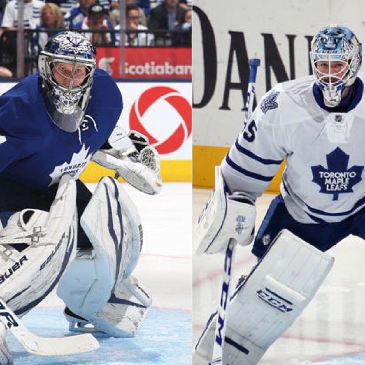 Who do you think is the Leafs #1 goalie? James Reimer or Jonathan Bernier?
