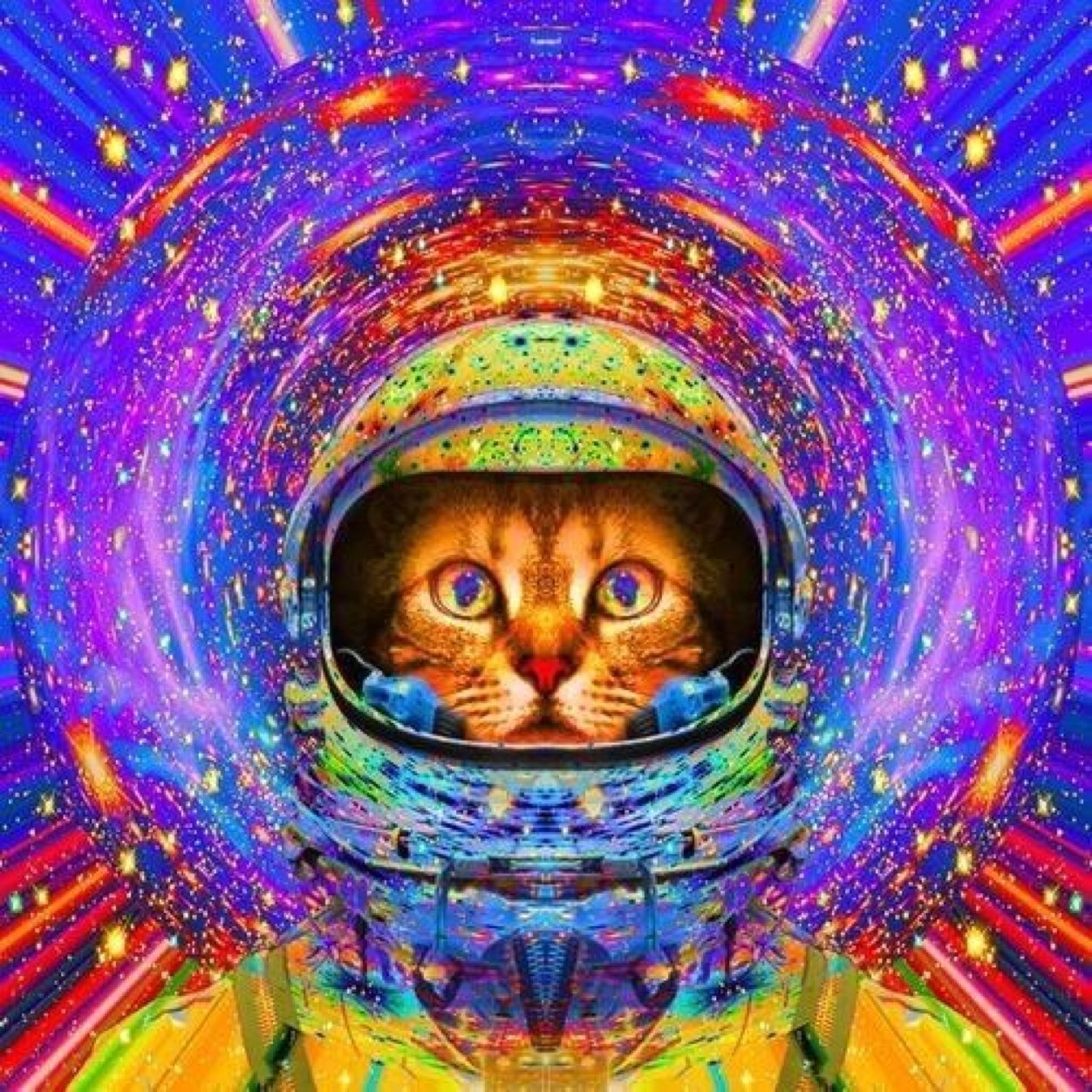 ihelpgd's profile picture. Just @ me in your tweet and i will RT!
Also please follow @GemFreezy