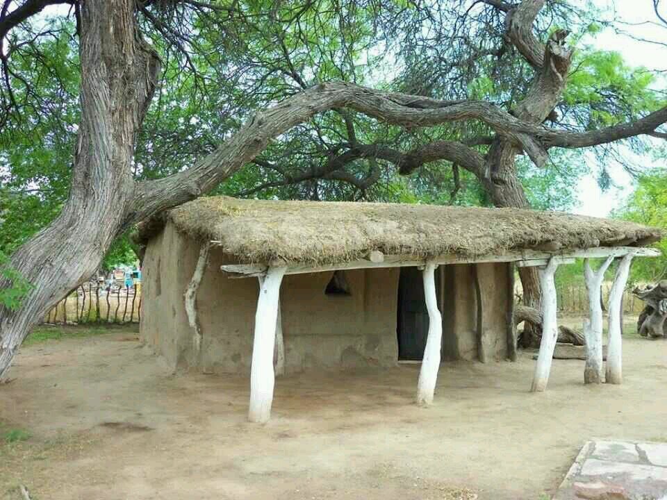 pelado833's profile picture. arquitecto. .blanco evasivo. ....cazador eficiente